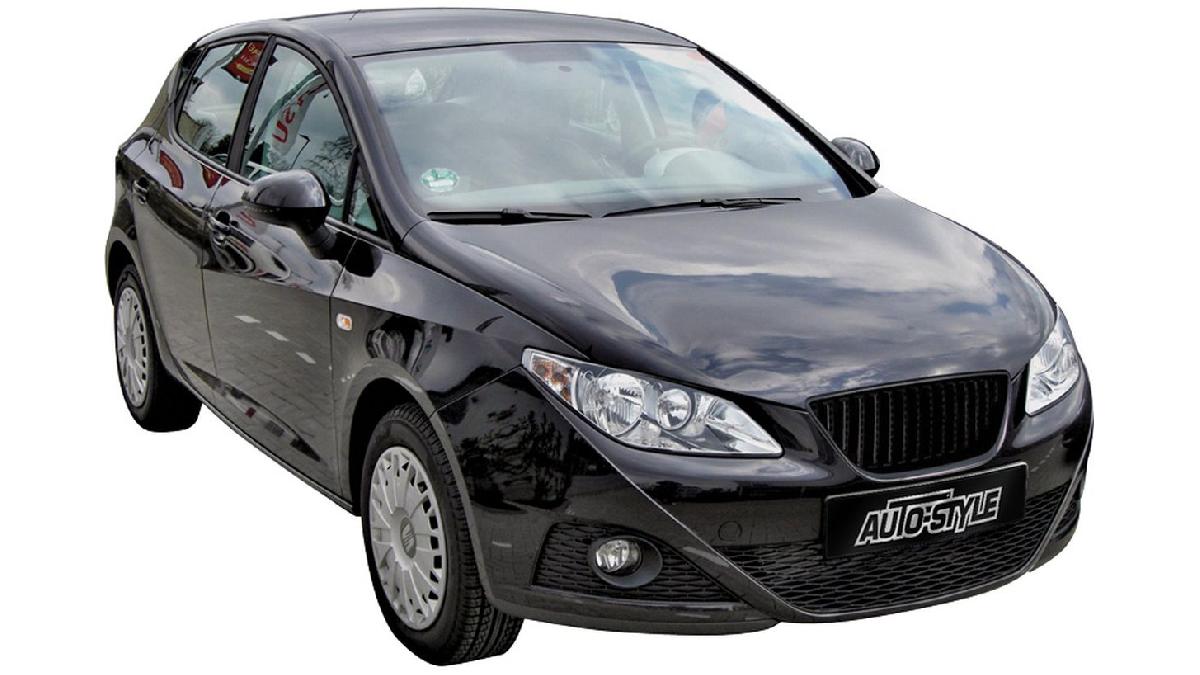 Grille+sans+logo+sur+mesure+pour+Seat+Ibiza+6J+3%2F5-portes+2008-+excl.+Facelift